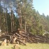 2012-03-22 14.49.21